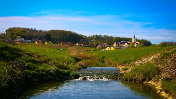 Globovnica Stream
